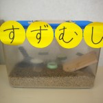 すずむしのお家