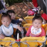 DSCF5026
